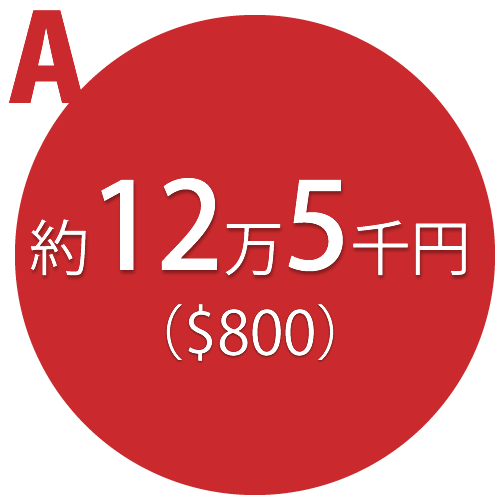 約 12万5千円（$800）